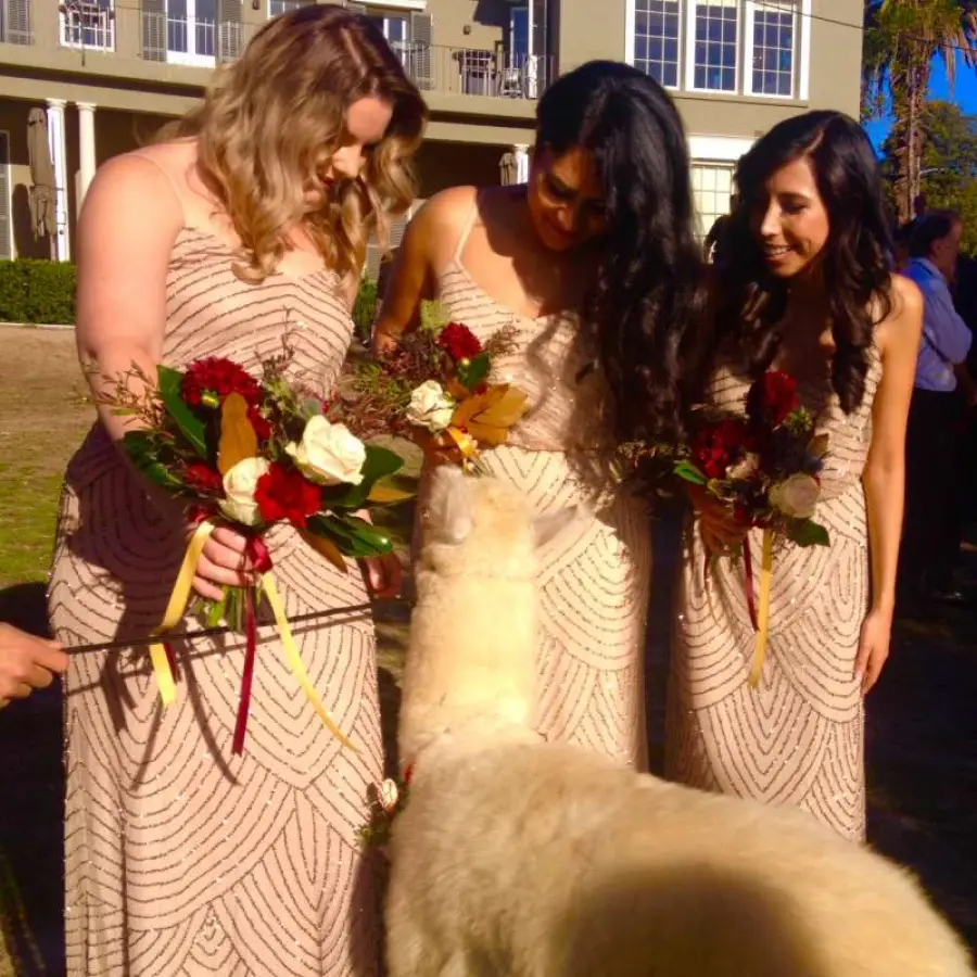 Mariamichaeldunbarbridesmaids