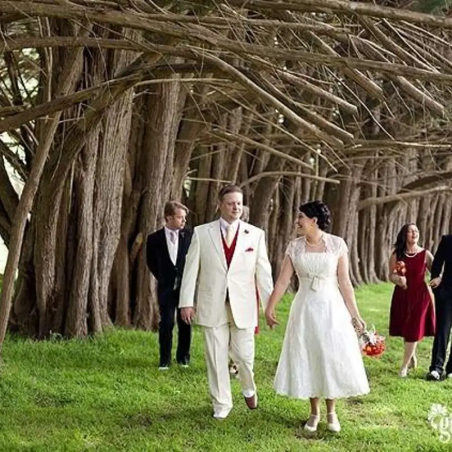 Anthony & Wendy's Beautiful Wedding!