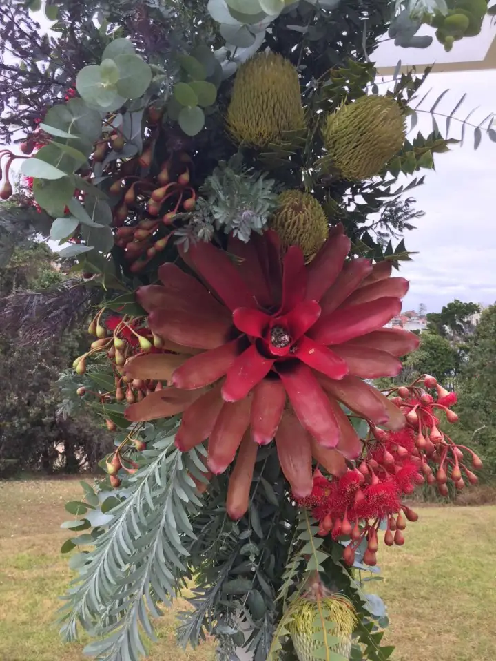 flowers3.webp
