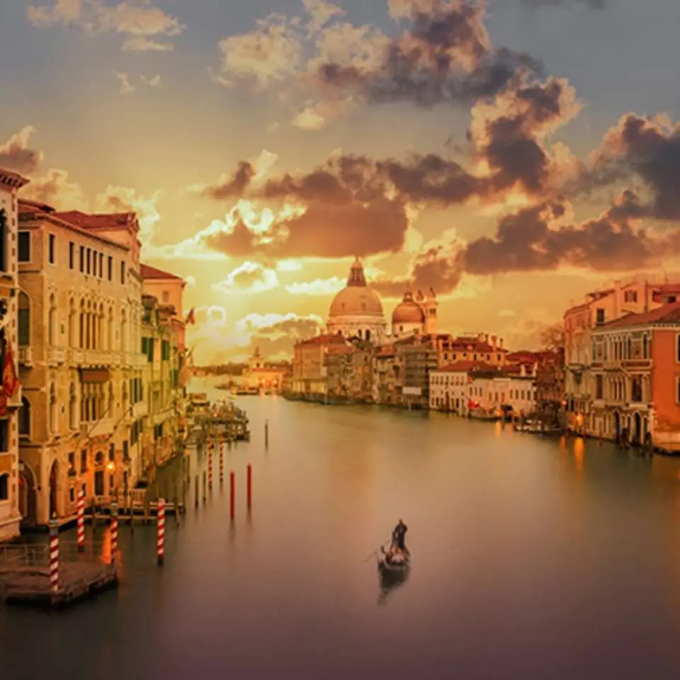 veniceawesome_1.webp